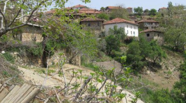 Börez Karantinaya Alındı