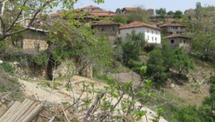 Börez Karantinaya Alındı