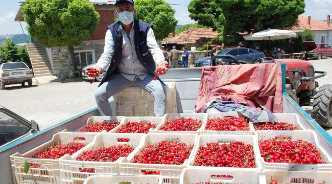 Gördes Kirazı 52 Ülkeye Gidiyor