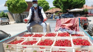 Gördes Kirazı 52 Ülkeye Gidiyor