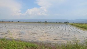 Tarımda Gündönümü Sancısı