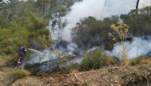 Manisa İtfaiyesi Manavgat ve Marmaris'te