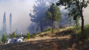 Kıranköy Yangını Ucuz Atlatıldı