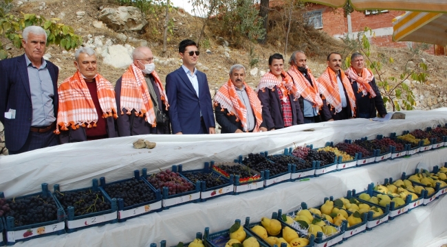 Ayva ve Üzüm Şenliğinde Coşku