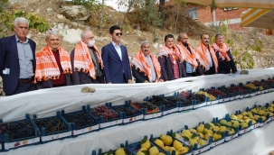 Ayva ve Üzüm Şenliğinde Coşku