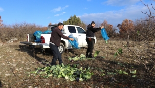 Belediye Yaban Hayvanlarını Unutmadı