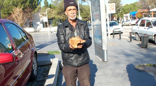Kırmızı Mantar 30TL!