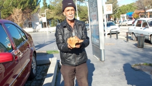 Kırmızı Mantar 30TL!