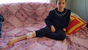 Sokak Köpekleri Çocuğa Saldırdı