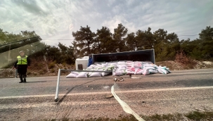 Ortatepede Kaza, Tır Devrildi