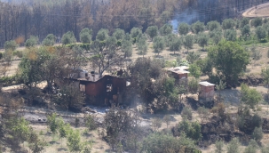 85 Hektar Orman Alanı 100 Hektar Tarla Zarar Gördü