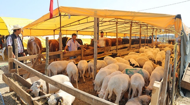 Bayram Pazarında Kurban Olmayalım