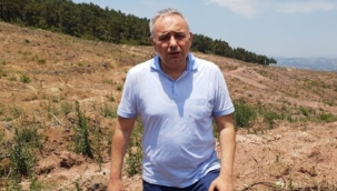 CHP'li Bakırlıoğlu: Ormanları Sadece Yangınlar Yok Etmiyor