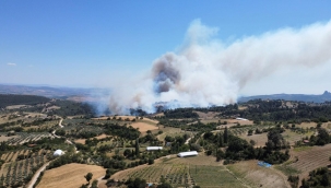 Karayağcı Yangını Kontrol Altına Alındı