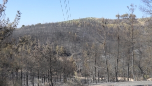 Yangınla İlgili 2 Kişi Tutuklandı