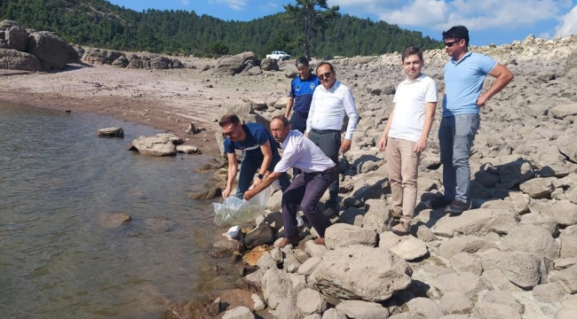 Kobaklar ve Beğel Göletlerine Yavru Sazan Bırakıldı