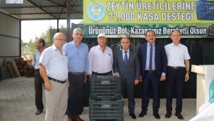 Zeytin Üreticisine Kasa Desteği