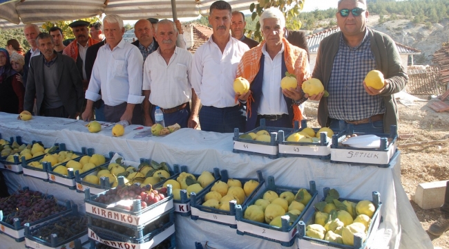 Ayva ve Üzüm Festivalinde Coşku