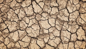 Kuraklık Çiftçinin Belini Büküyor