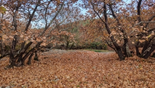 Gördes'te Sonbahar Manzaraları