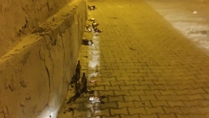 Meyhanede Değişen Bir Şey Yok