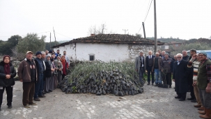 Tarım Arazisi Yanan Üreticilere Fidan Desteği