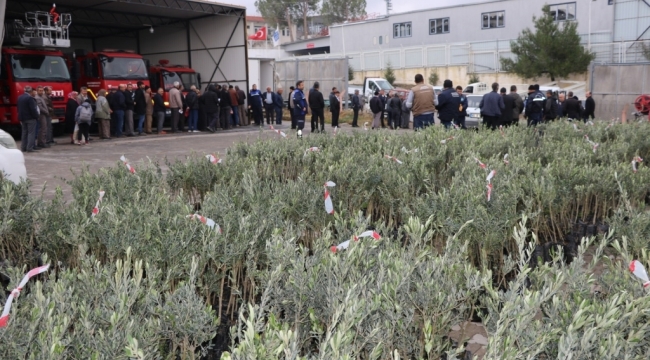 Zeytin Fidanları Üreticilerle Buluştu