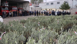 Zeytin Fidanları Üreticilerle Buluştu