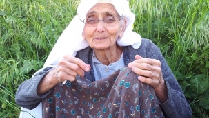 Gördes Asırlık Çınarını Kaybetti