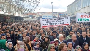 Tütüncü 100TL Fiyat İstiyor