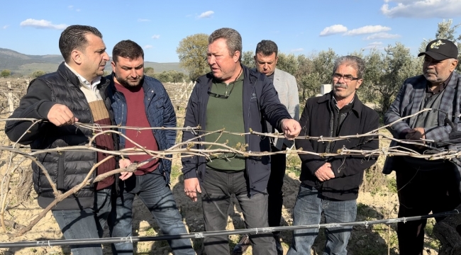 CHP Milletvekili Başevirgen: "25 Bin Ailenin Bağında Üzüm Olmayacak"