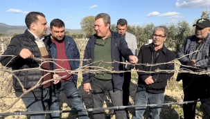 CHP Milletvekili Başevirgen: "25 Bin Ailenin Bağında Üzüm Olmayacak"