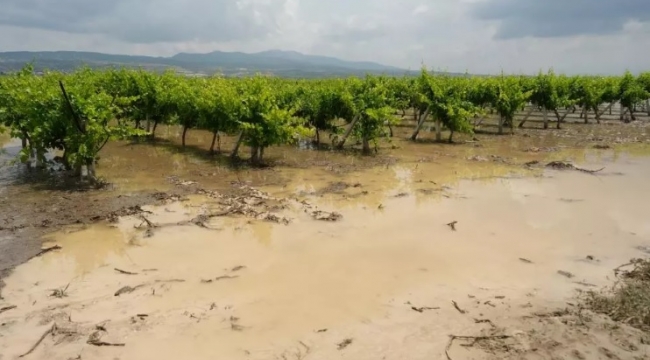 Saruhanlı'da Sel Felaketi Tarım Arazilerini Vurdu