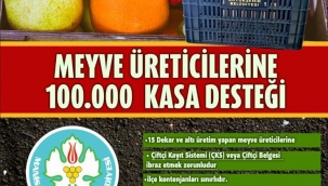 Meyve Sebze Üreticisine Dev Destek