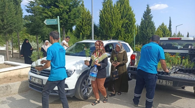 40 Bin Çiçek 17 İlçe Mezarlığında Dağıtıldı