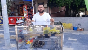Gördes'in Midyecisi Var