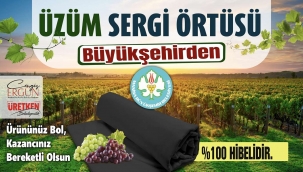 Zeytin ve Üzüm Üreticilerine Önemli Destek