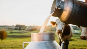 Süt Fiyatlarına Zam Geldi