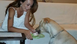 Başkan Özalper: "Manisa'da CHP'li Belediyeler Ötenazi Uygulamayacak" 