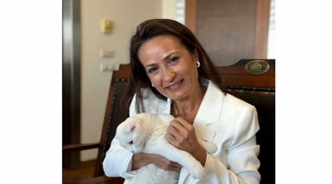 Başkan Özalper Kedi Cinayetlerine Tepki Gösterdi