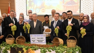 Manisa'da Üzüm Sezonu Açıldı
