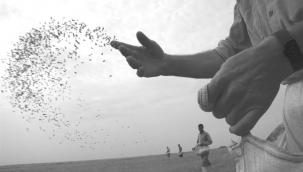 Yağış Yok Hububat Ekimi Tehlikede