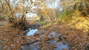 Gördes'ten Sonbahar Manzaraları