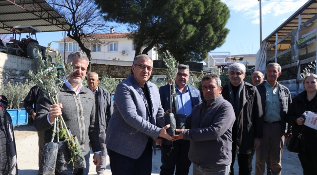 Boyalı'da Zeytin Fidanı Dağıtıldı