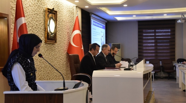 Kadına Yönelik Şiddetle Mücadelede Etkin Koordinasyon