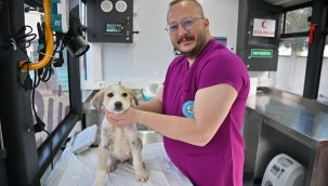 Vetbüs Projesi Hizmete Başladı