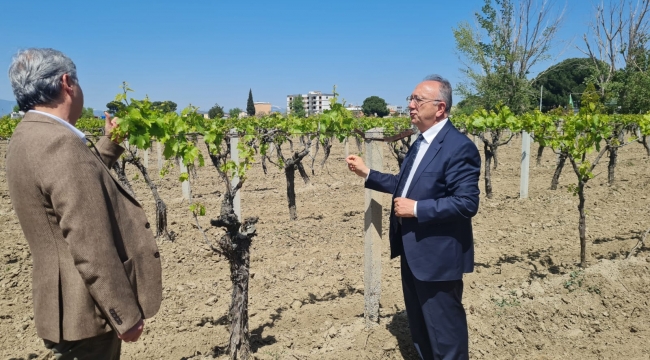 Hibe Desteğinde Son Başvuru 30 Mayıs'a Uzatıldı