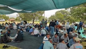 Yaren Ateşi Efendili'de Yandı