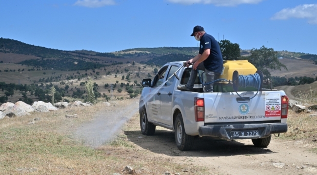 Köprübaşında Çekirge İstilasıyla Mücadele
