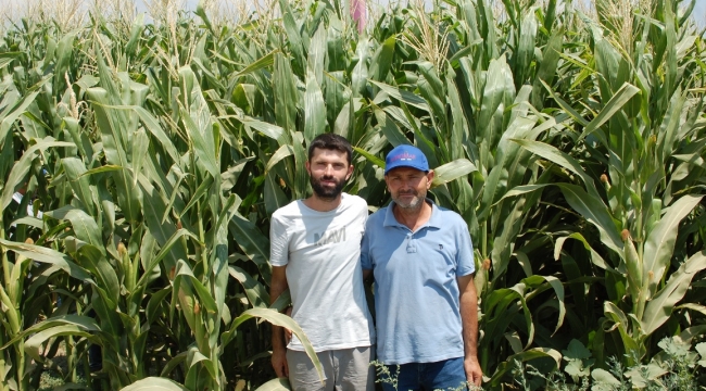 Bayat Alanında Altun Bir Hikaye